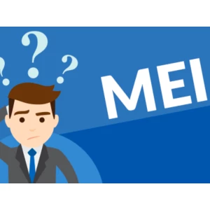 Acompanhamento Mensal do MEI